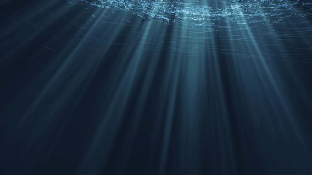 The International Seabed Authority is engaged in crunch talks on proposals to allow deep-seabed mining.